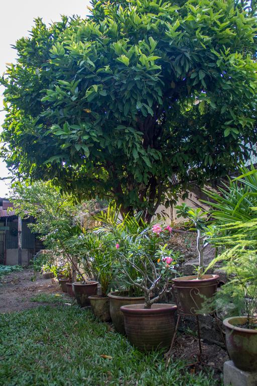 Cozy Mount Erskine Homestay Georgetown Exterior foto
